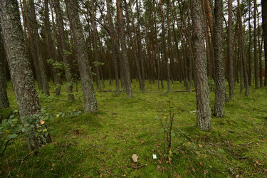 Similar image 21651585