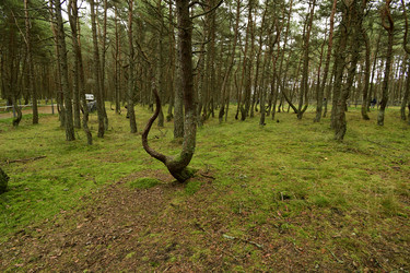 Similar image 21651586