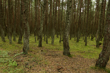 Similar image 21651587