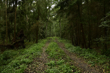 Similar image 21651588