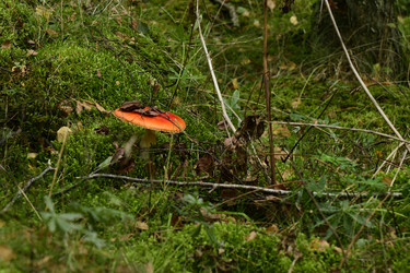 Similar image 21651590