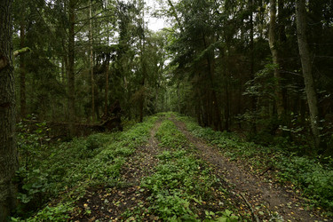 Similar image 21651591