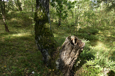 Similar image 21651592