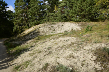 Similar image 21651593