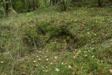 Similar image 21651596