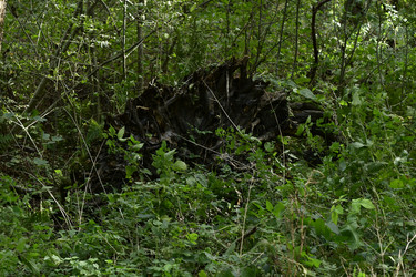 Similar image 21651599