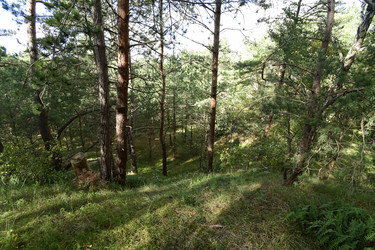 Similar image 21651605