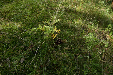 Similar image 21651606