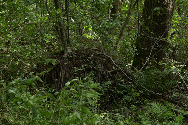 Similar image 21651607