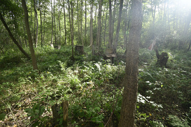 Similar image 21651610