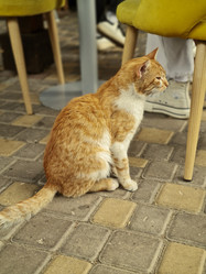 Similar image 21648494