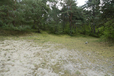 Similar image 21651805