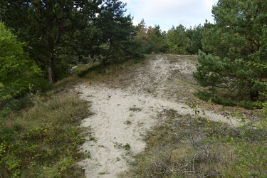 Similar image 21651808