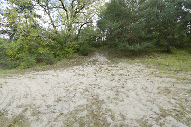 Similar image 21651809