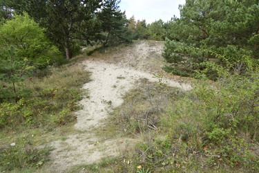 Similar image 21651813