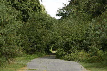 Similar image 21651820