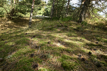 Similar image 21651825