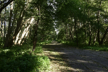 Similar image 21651826