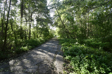 Similar image 21651827