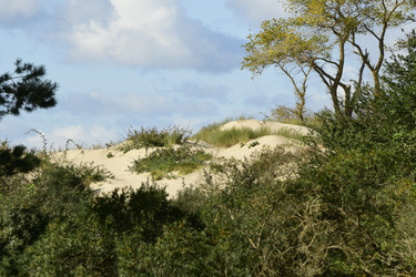 Similar image 21651865