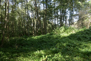 Similar image 21651934