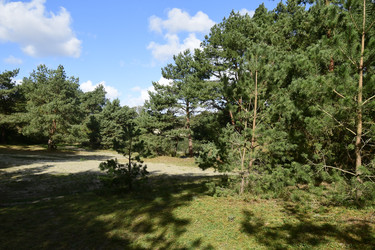 Similar image 21651936