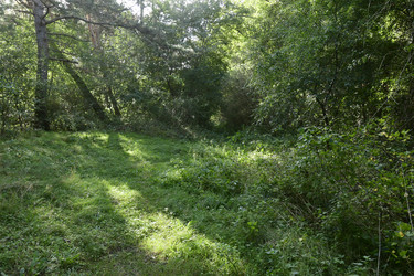 Similar image 21651937