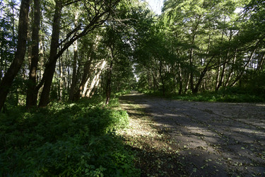 Similar image 21651938