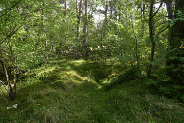 Similar image 21652094