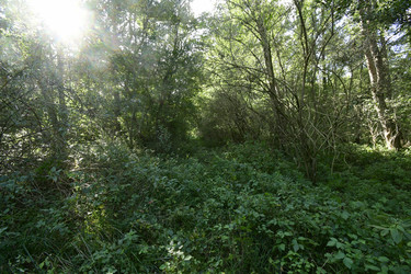 Similar image 21652096