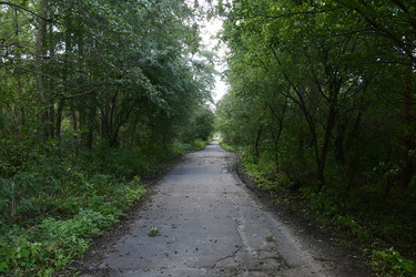 Similar image 21652097