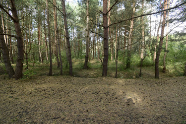 Similar image 21652098