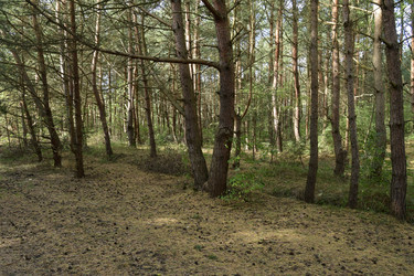 Similar image 21652099