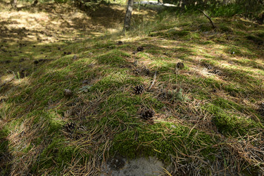 Similar image 21652101