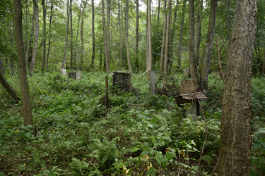 Similar image 21652102