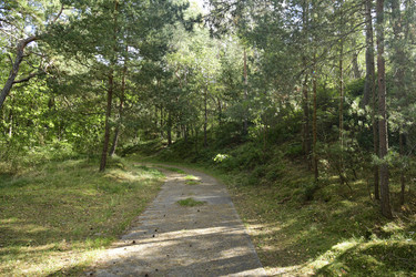 Similar image 21652103