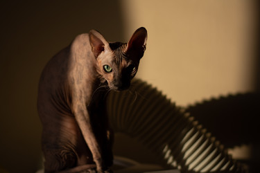 Similar image 21648525