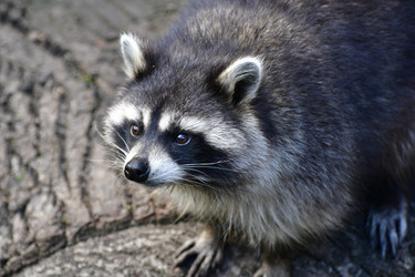 Similar image 21651612