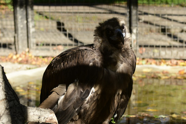 Similar image 21651613