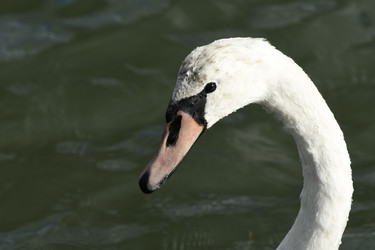 Similar image 21651615