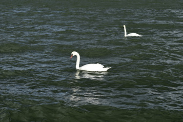 Similar image 21651617