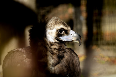 Similar image 21651618