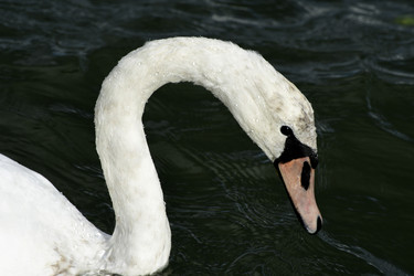 Similar image 21651619