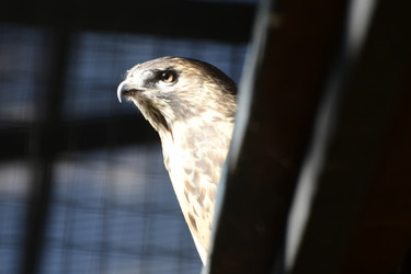 Similar image 21651621