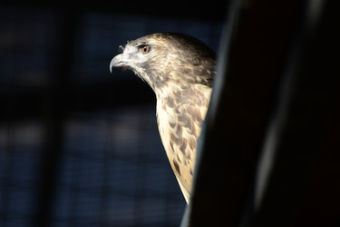 Similar image 21651622