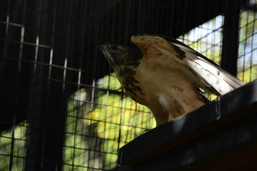 Similar image 21651624