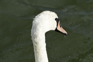 Similar image 21651625