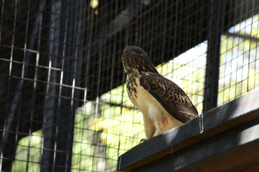 Similar image 21651626