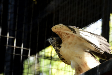 Similar image 21651628