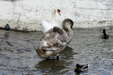 Similar image 21651629